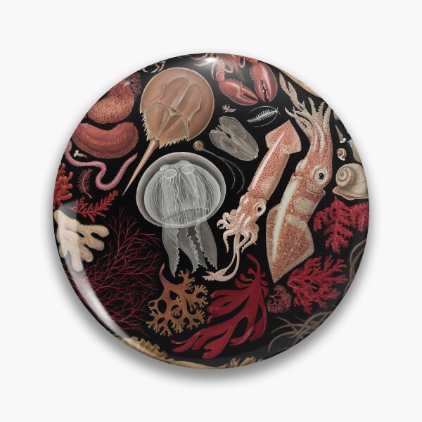 Item preview, Intertidal Life of the North Atlantic designed and sold by JadaFitch.