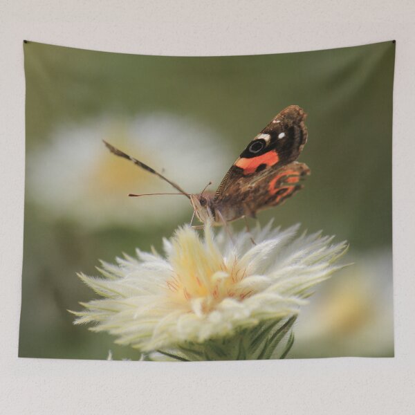 Item preview, Red Admiral Butterfly designed and sold by KarenWoodArt.