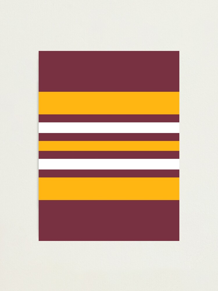 Washington football team colors Photographic Print