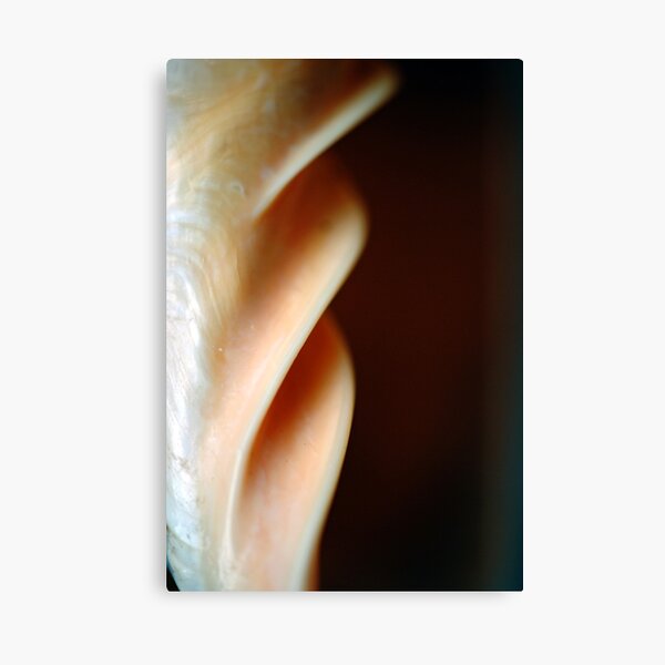 Fluted Column of Pearl Canvas Print