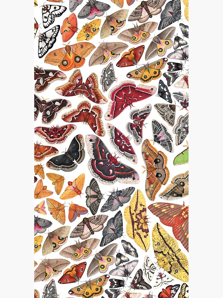 Saturniid Moths of North America Pattern by JadaFitch
