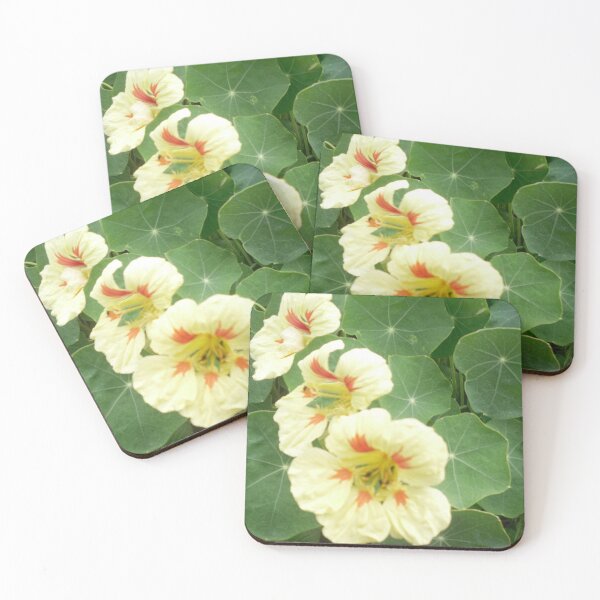 Item preview, Yellow Nasturtium designed and sold by Kyleacharisse.