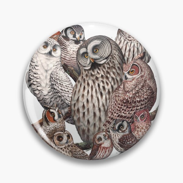 Item preview, Owls of the Northeast designed and sold by JadaFitch.