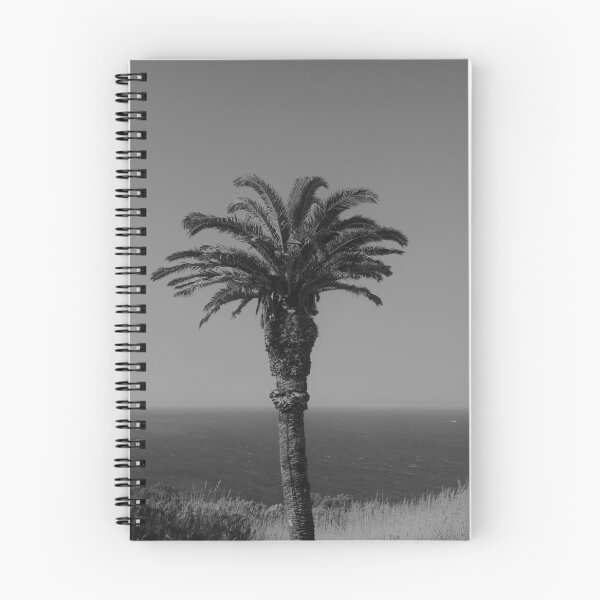 Item preview, Palm tree looking out over the Atlantic designed and sold by Catavan.