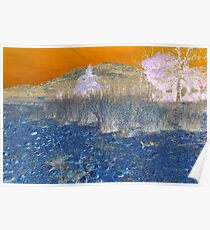 Mountain Bizarre Poster