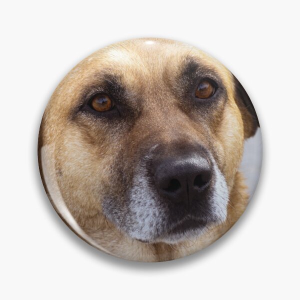 Item preview, friendly brown dog portrait designed and sold by Nikoleta Vukovic.