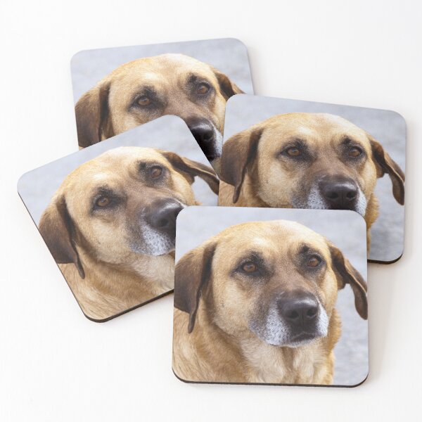 Item preview, friendly brown dog portrait designed and sold by Nikoleta Vukovic.