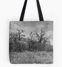 Wichita Mountains Tote Bag