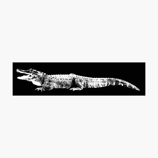 Black And White Crocodile Gifts Merchandise Redbubble - cheap white nightstand interior crocodile alligator roblox