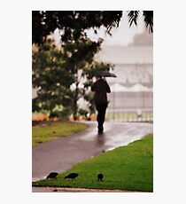 Rain, rain, rain! Photographic Print