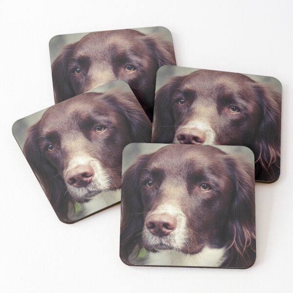 Item preview, English Springer Spaniel designed and sold by Anne Staub.