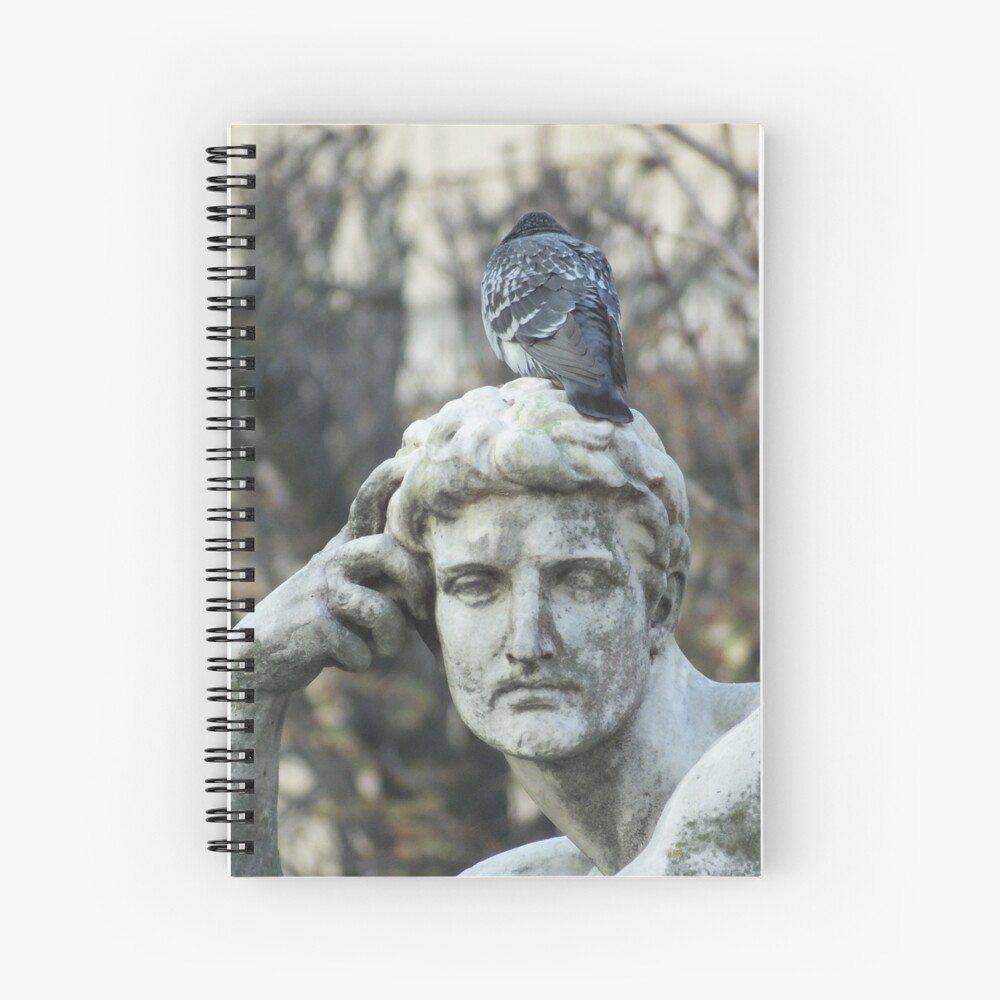 Having a bad day Spiral Notebook