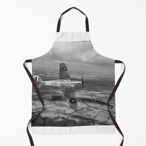 Item preview, Josef František of 303 Squadron in action designed and sold by Flight Artworks.