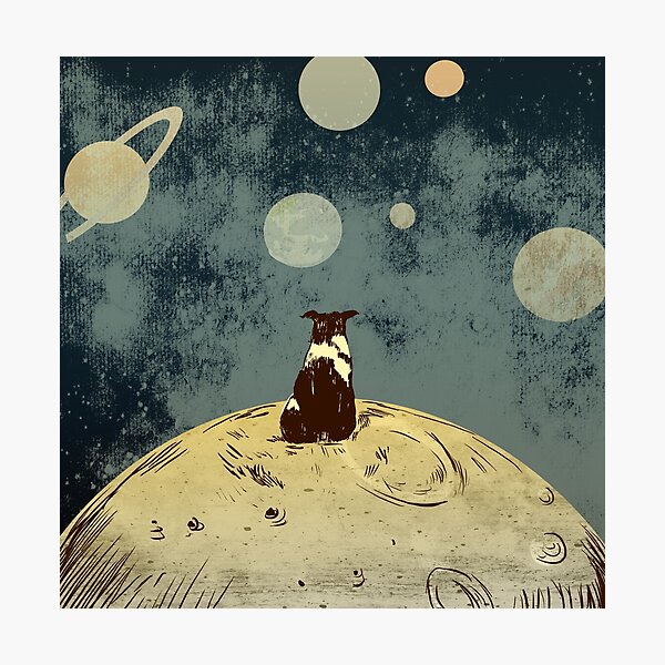 Endless opportunities - dog looking into space Photographic Print