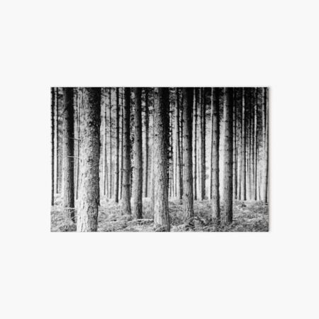 Artikel-Vorschau von Kiefernwald, designt und verkauft von Anne Staub.