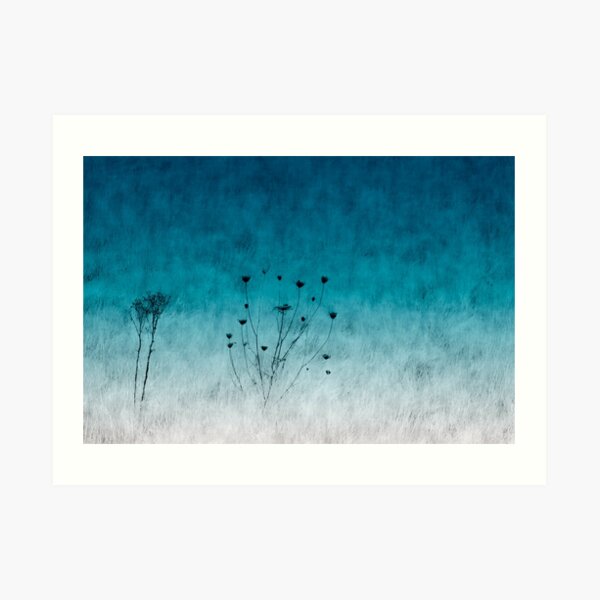 Wildflowers Art Print