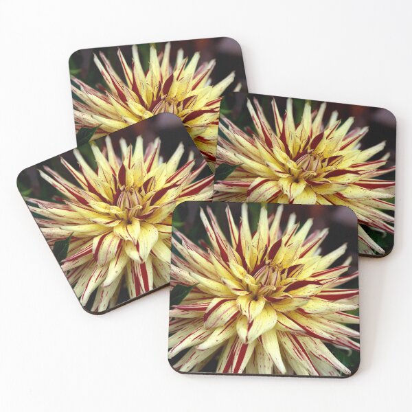 Item preview, Dahlia Splendour designed and sold by Alexandra Lavizzari.