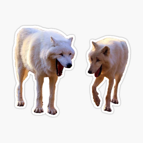 laughing wolves meme Sticker for Sale by SPARTIAN