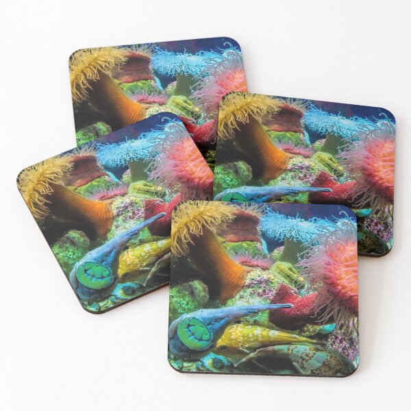 Item preview, Aquarium Creatures Cape Town designed and sold by Lynn Bolt.