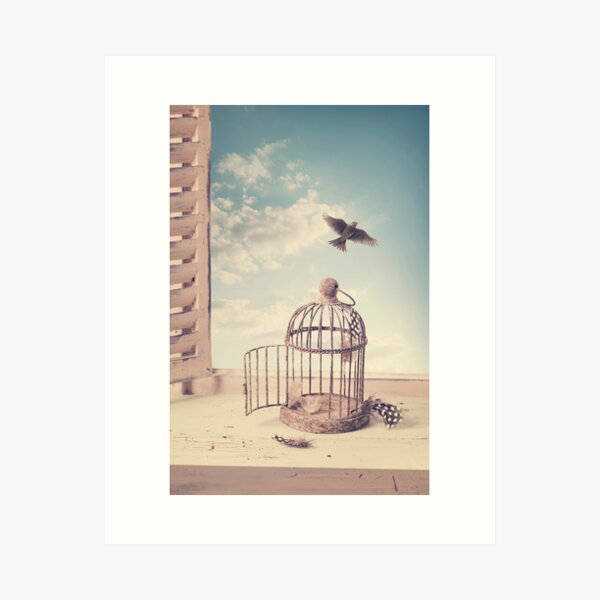 Bird Cage Art Prints for Sale