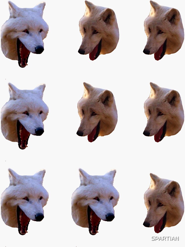 Laughing Wolves Meme Template