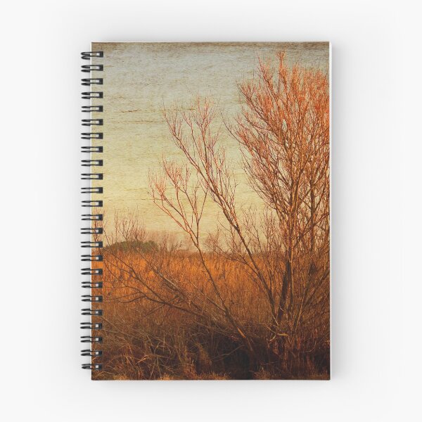 Item preview, Orange winter designed and sold by Anne Staub.