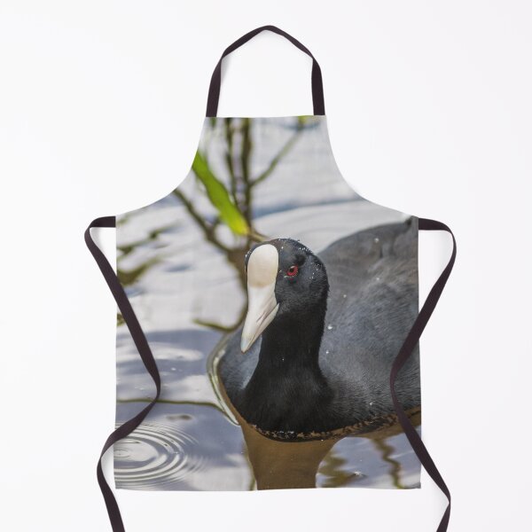 Item preview, Hawaiian coot designed and sold by KensLensDesigns.