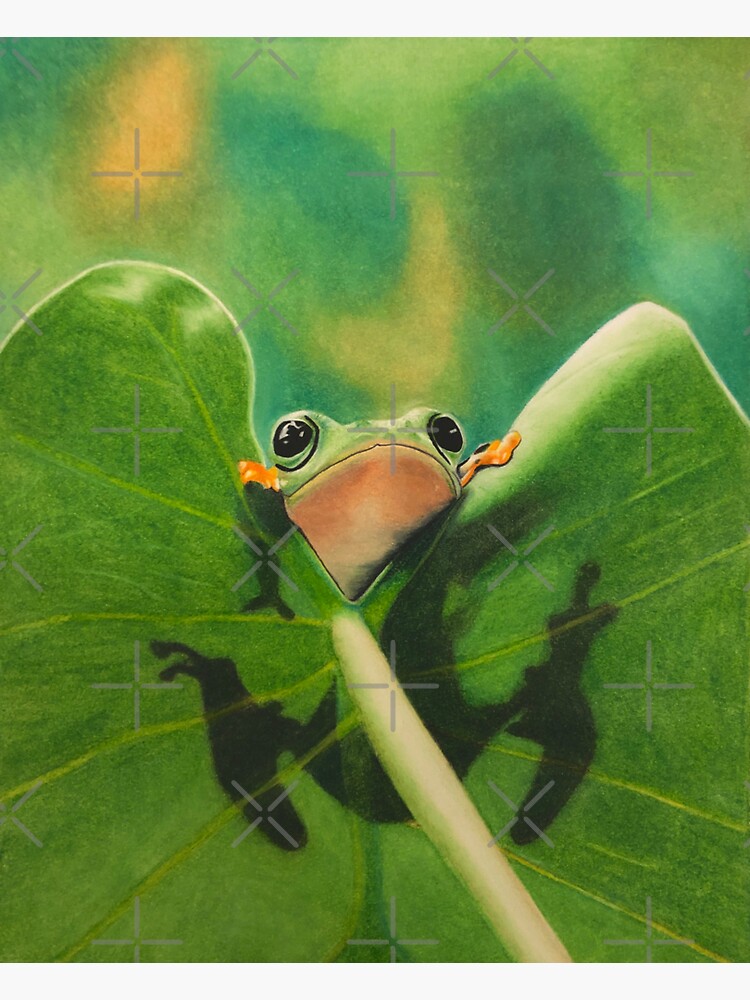Thumbnail 3 of 3, Sticker, Cute Frog on Leaf designed and sold by jjomally1.