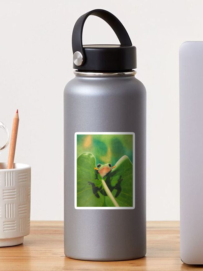 Thumbnail 1 of 3, Sticker, Cute Frog on Leaf designed and sold by jjomally1.