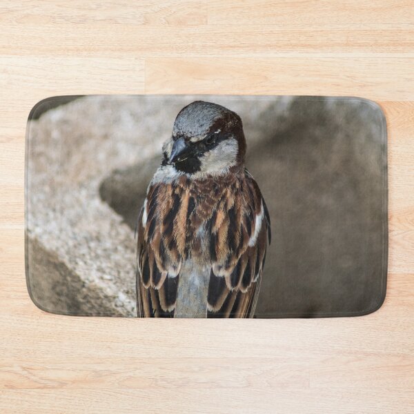 Item preview, Songbird designed and sold by KensLensDesigns.