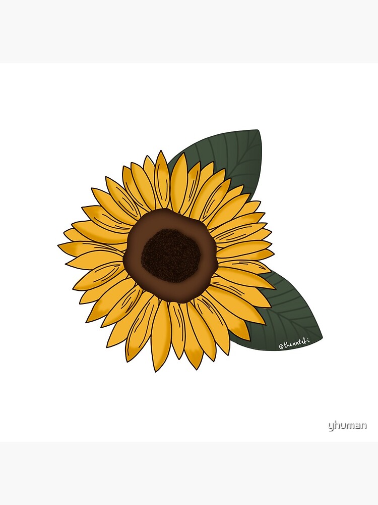 girasol (sunflower)