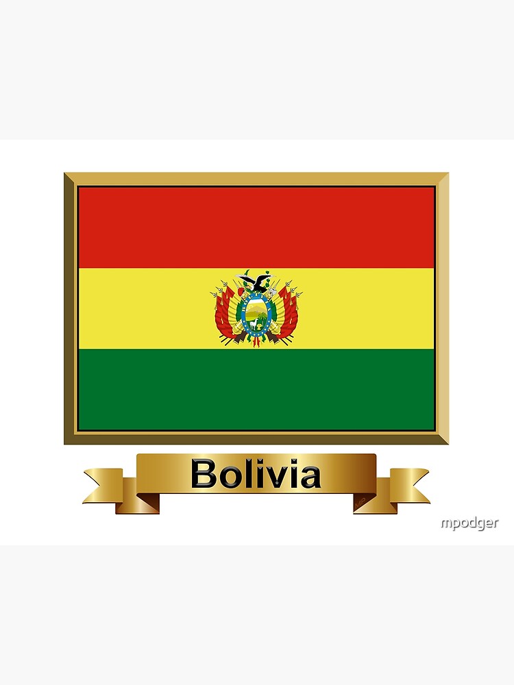 Bolivian Coat of Arms Bolivia Flag Unisex Pullover Long Sleeve Hoodies Hooded Sweatshirts with Pocket Birthday Christmas Gifts For Men Women Boys Girls 
