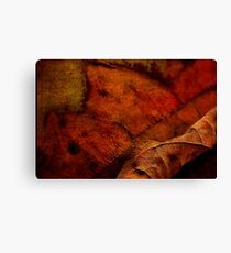 Turning a new leaf Canvas Print