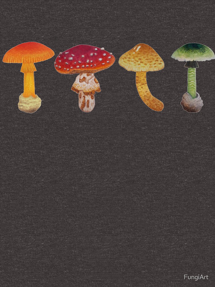 “Fungi Collection Mycology Illustration” T-shirt for Sale by FungiArt