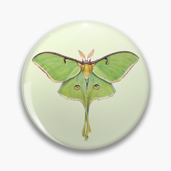 Item preview, Luna Moth (Actias luna) II designed and sold by JadaFitch.