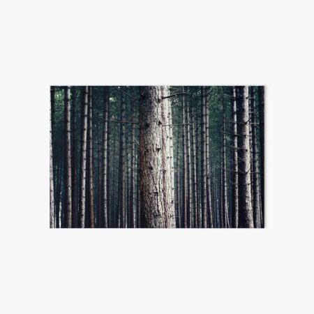 Artikel-Vorschau von Muster in der Natur, designt und verkauft von Anne Staub.
