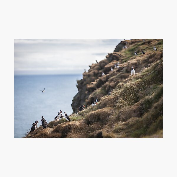 Iceland Photographic Print