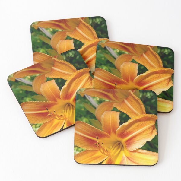 Item preview, Bright Orange Daylilies! designed and sold by MooseDogPhotos.