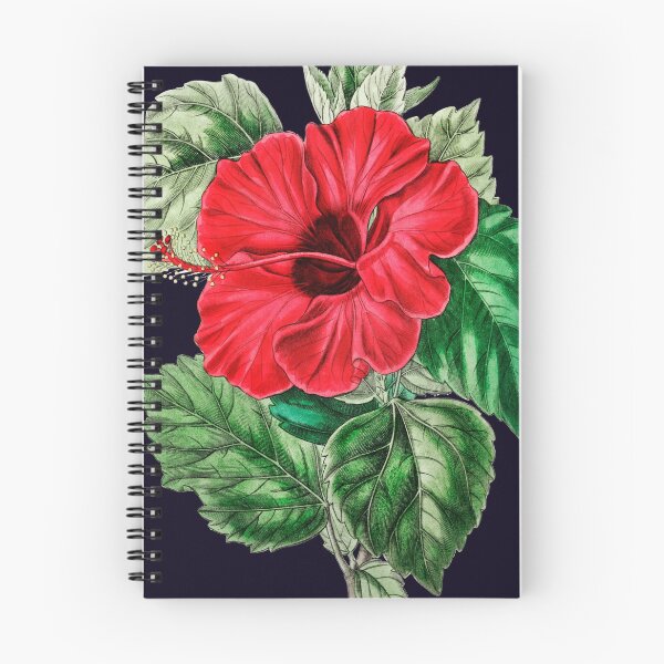 Item preview, Hibiscus, red flower, botanical print designed and sold by domdjs4239.