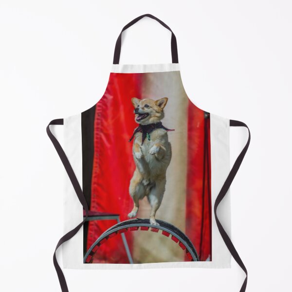 Item preview, party t shirt "dog on the wheel" designed and sold by Bhaskaran Parakkottil.