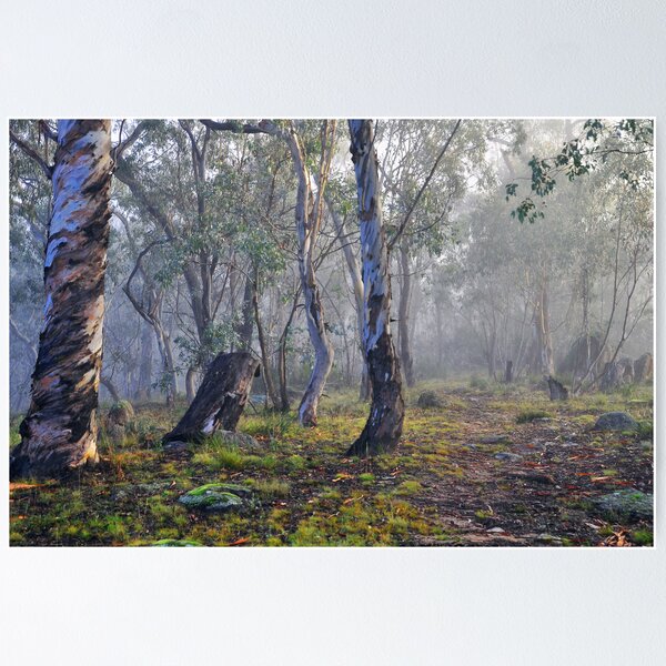 Item preview, A Foggy Morning designed and sold by Terry Everson.