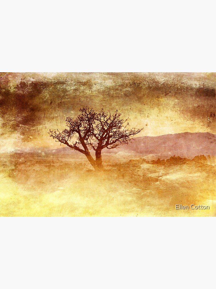 Tree At Dusk in Waikoloa Revisited by ellcot
