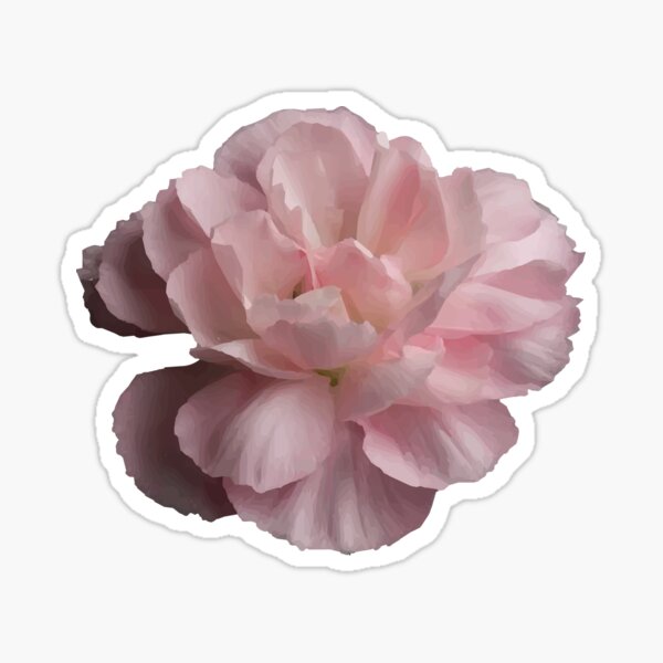 Rosa Blume Sticker