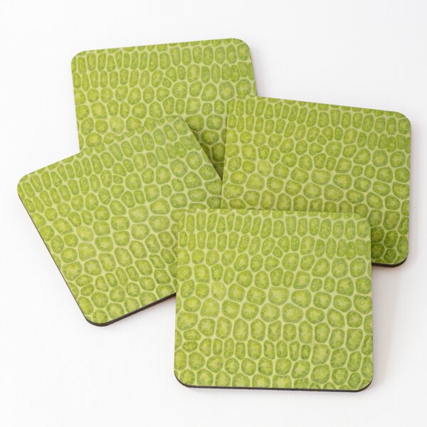 Item preview,  Moss leaf microscope photo - plant cells designed and sold by SciArtImages.