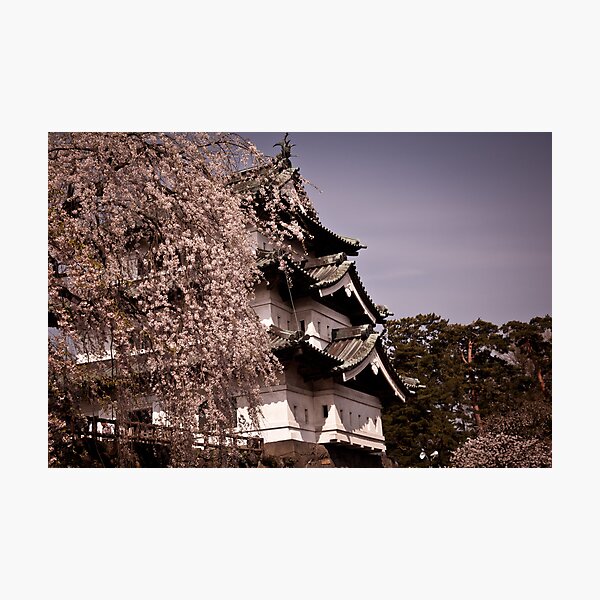 Sentinel Photographic Print