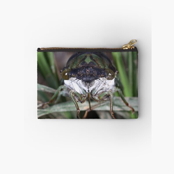 Item preview, Cicada Face designed and sold by mark-bugs-org.