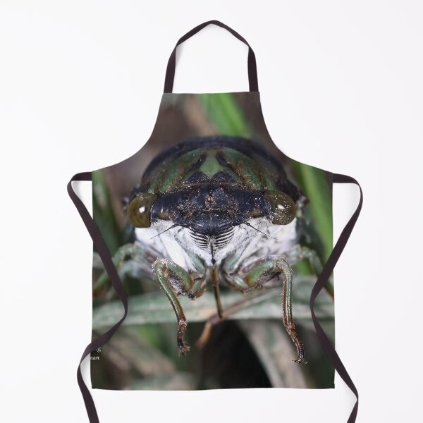 Item preview, Cicada Face designed and sold by mark-bugs-org.