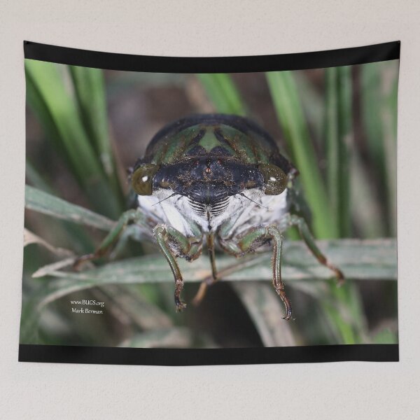 Item preview, Cicada Face designed and sold by mark-bugs-org.