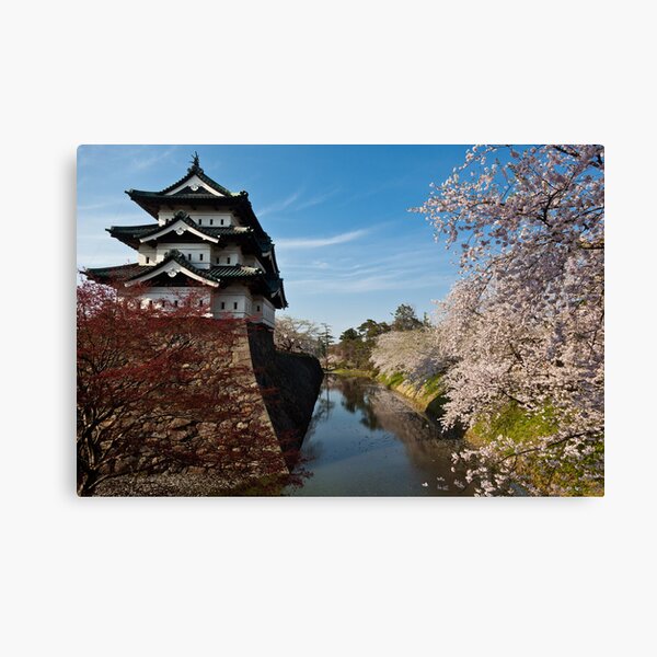 Separation of Beauty Canvas Print
