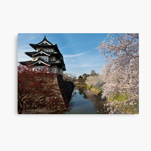 Separation of Beauty Metal Print
